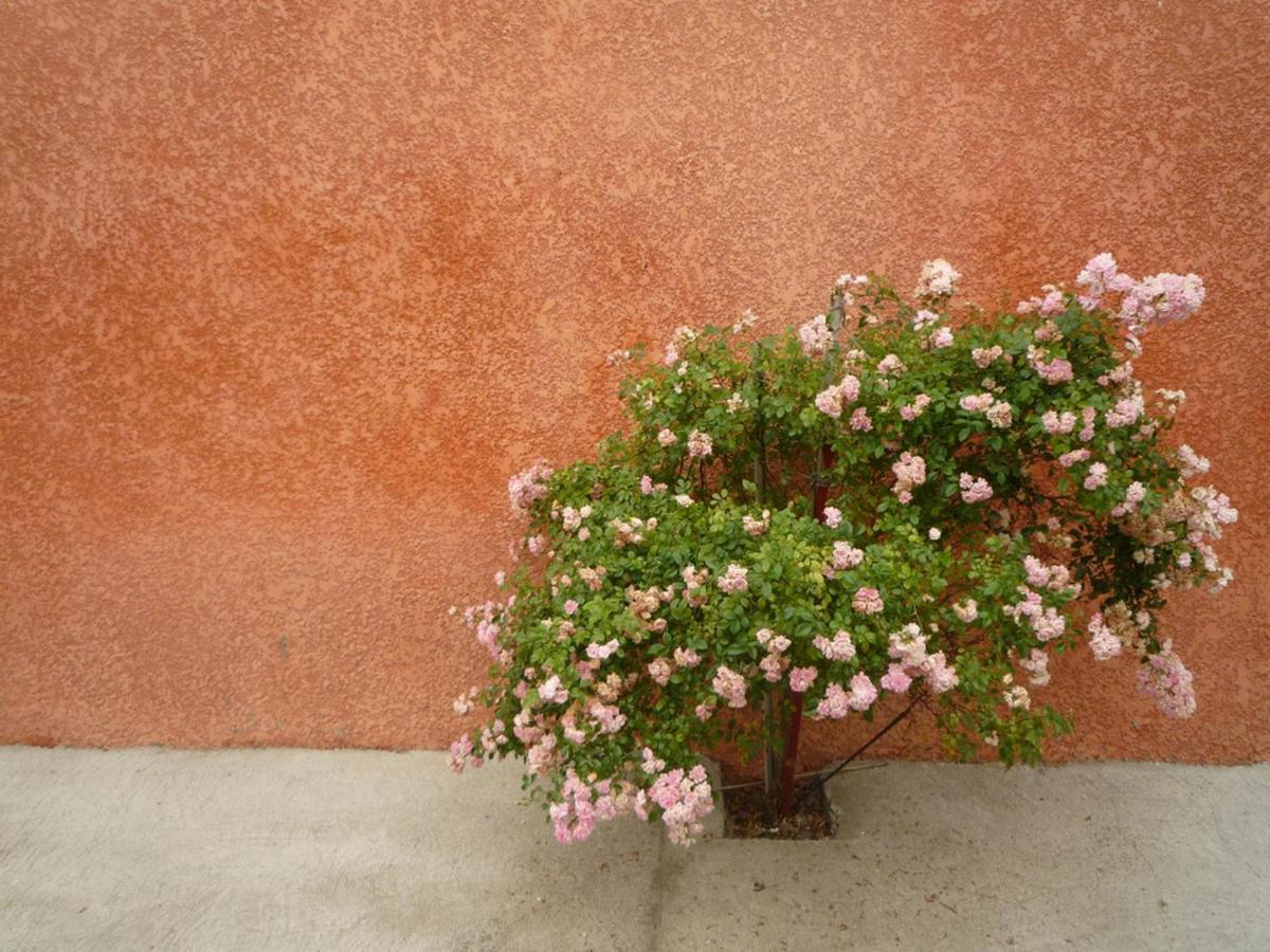 Villa Charming And Quaint 2-Bed House In Marseillan Esterno foto
